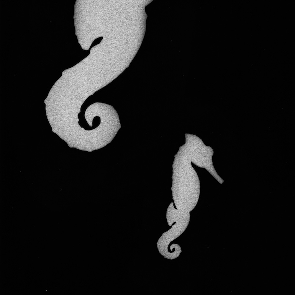 Alfonsina y el mar (fotograma)