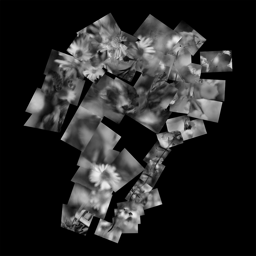 El corazón de los vientos